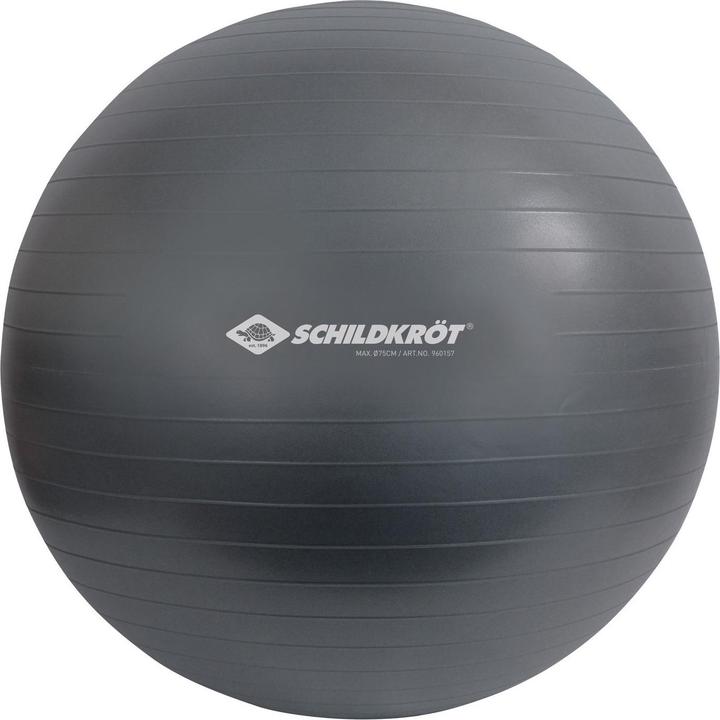 Produktbild Schildkröt Gymnastikball (75 cm)