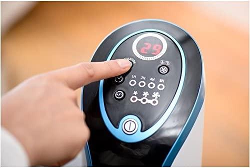 Actual product image Rowenta Eole Compact (60 dB)