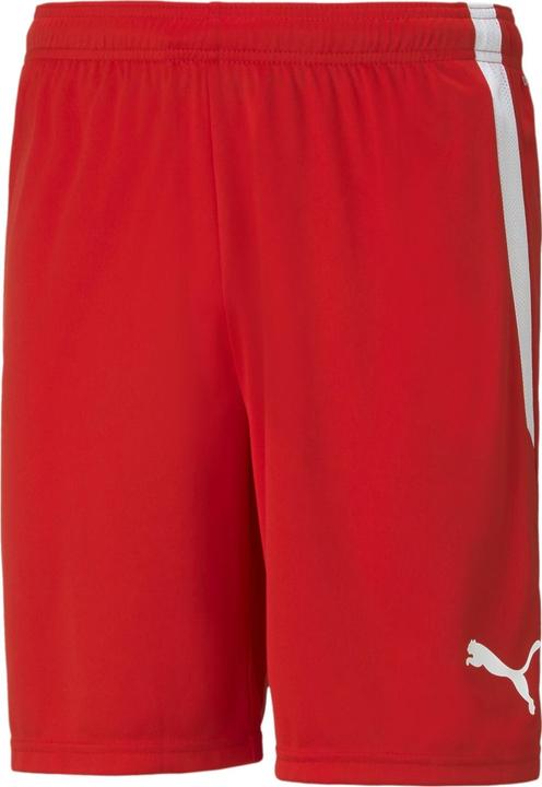 Actual product image Puma teamLIGA Shorts-704924 (M)