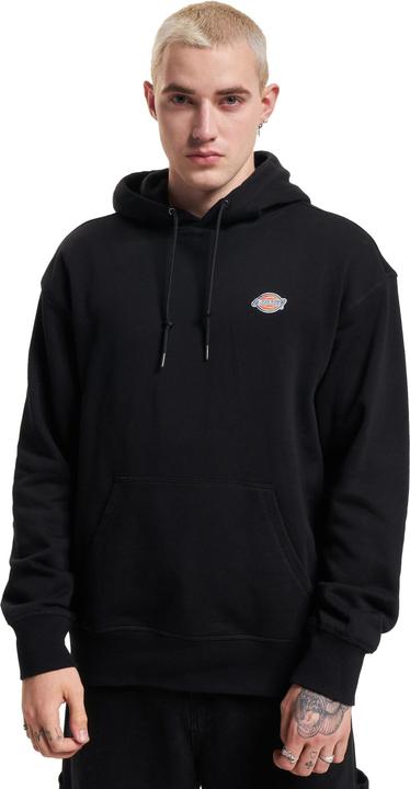 Produktbild Dickies Millersburg Hoodie - 89467 (L)