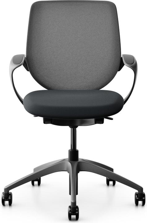 Actual product image Giroflex Netzrücken mit Armlehnen 313