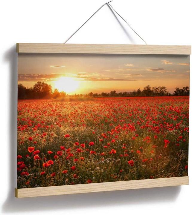 Immagine prodotto Trenddeko Campo di papaveri al tramonto (40 x 50 cm)