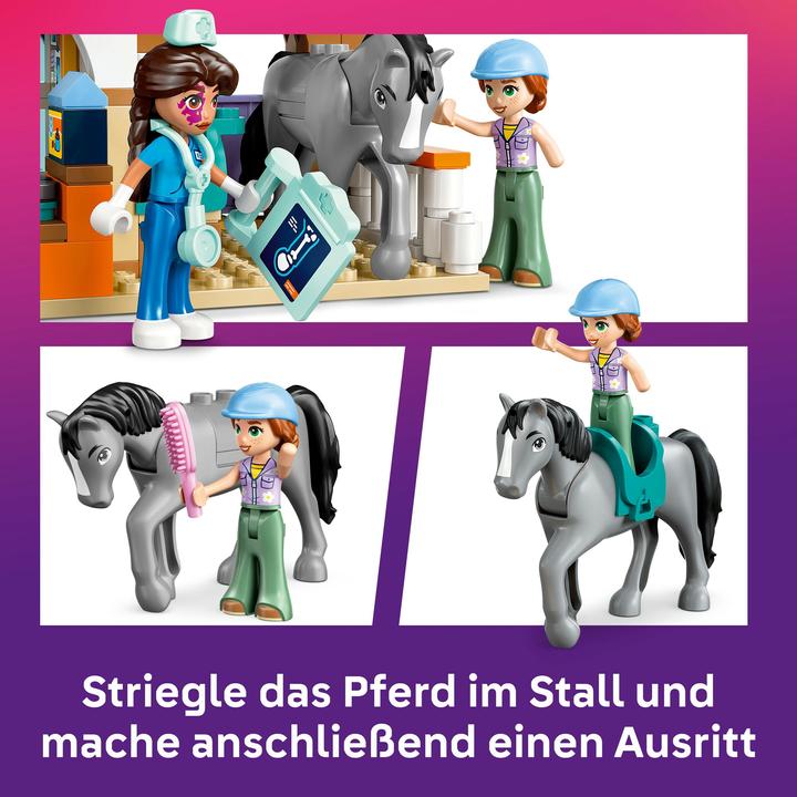 Actual product image LEGO Tierarztpraxis für Pferde und Haustiere (42651, LEGO Friends)