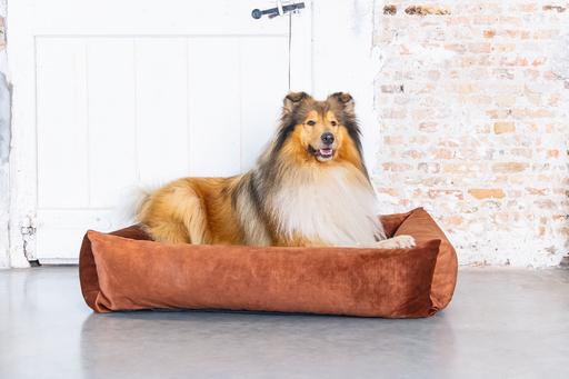 Produktbild Designed by Lotte Ribbed (Hund)