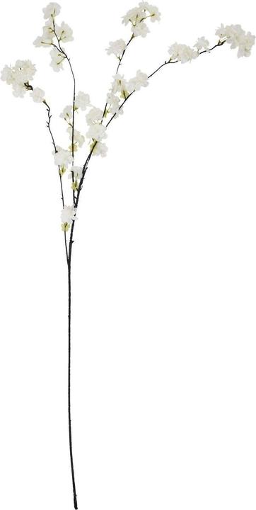 Immagine prodotto Hill Interiors Fiori di Ciliegio Fiore Artificiale (8 cm)