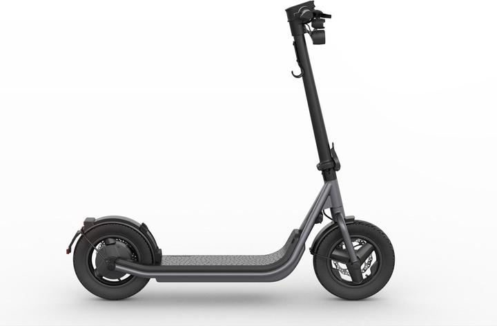 Egret X (20 km/h, 60 km, 500 W)