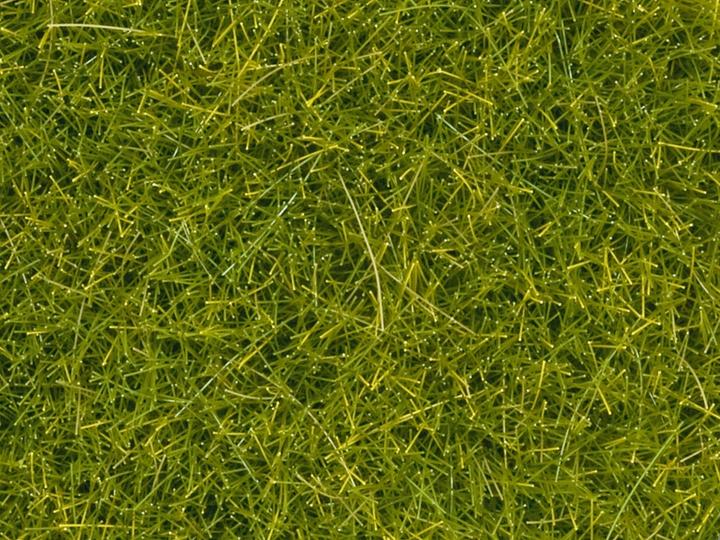 Image du produit Noch Herbe d'épandage clair, 4 mm, 20 g