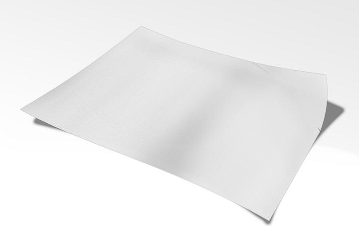 Actual product image Neutral Wrapping paper Image 70 x 100 cm (Wrapping paper, 250 x)