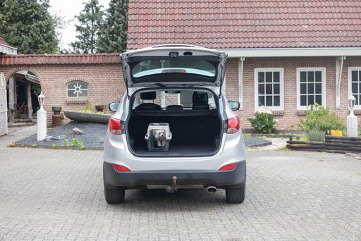 Actual product image Karlie Transport box Nomad Top Loader (Cat, Dog, Lockable)