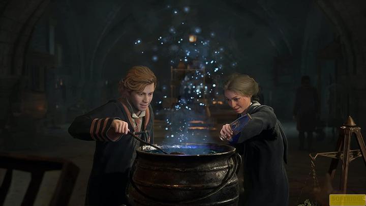 Actual product image WB Hogwarts Legacy (PS4, DE)