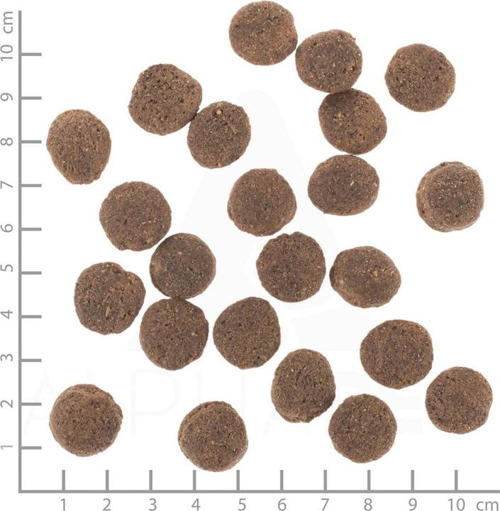 Image du produit Wolfsblut VetLine Croquettes hypoallergéniques chien 2 kg (Adulte, 1 pcs, 2000 g)