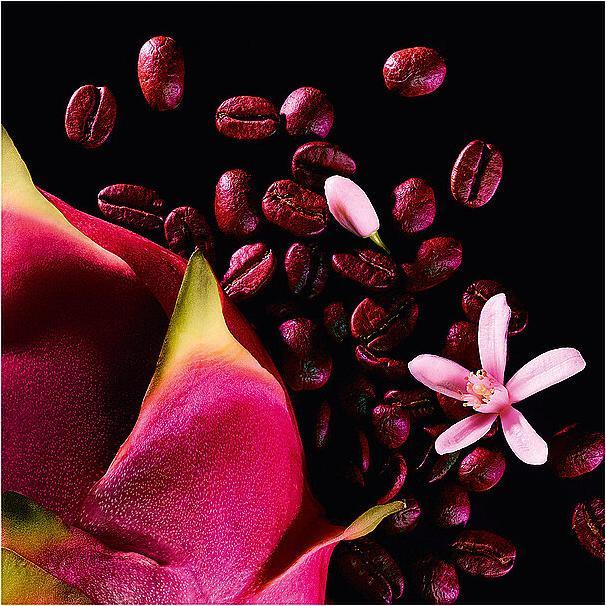 Image du produit Yves Saint Laurent Néon à l'opium noir (Eau de parfum, 30 ml)