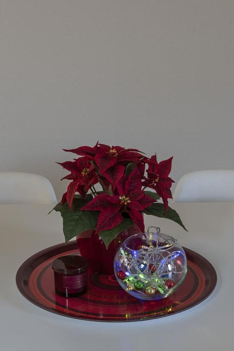 Actual product image Konstsmide 1469-100 Fairy lights with batteries indoor battery-operated Quantity (4.85 m)