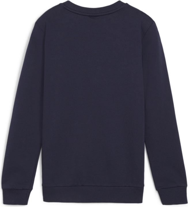 Actual product image Puma teamGOAL Casuals Crew Neck Sweat Jr (128)