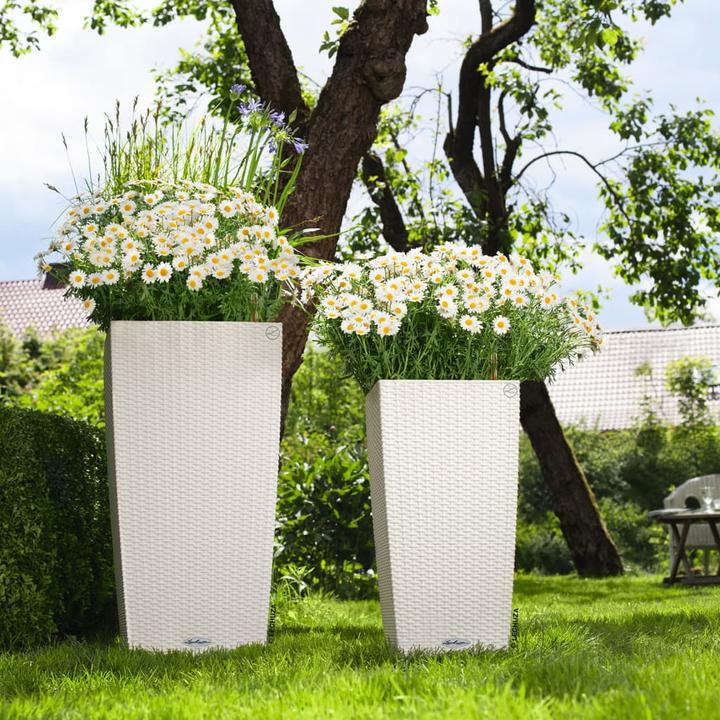 Image du produit Lechuza Cottage Cubico (29.50 cm)