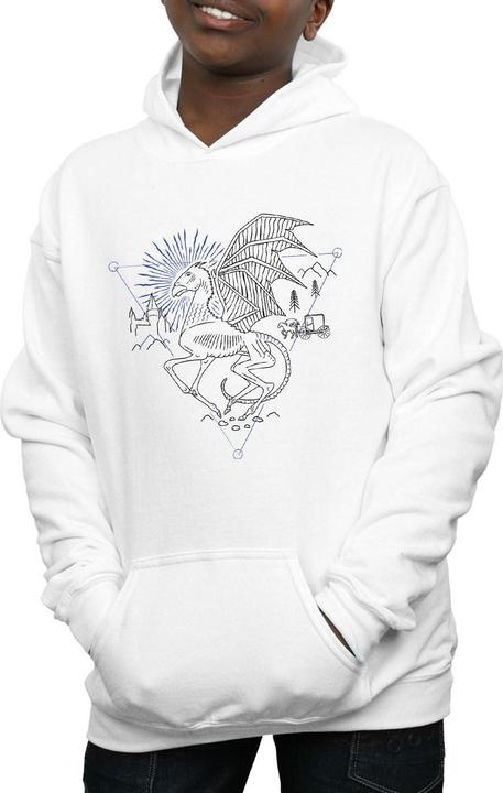 Produktbild Thestral Line Art Kapuzenpullover Jungen (140, 146)