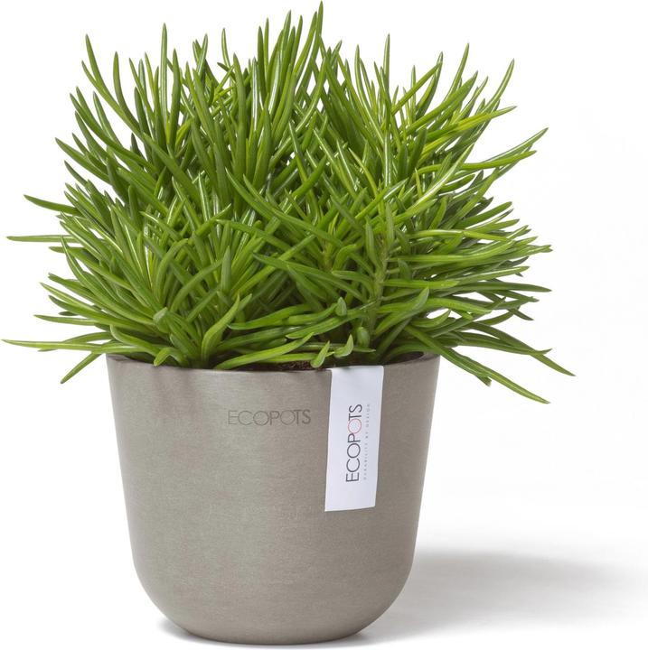 Produktbild Ecopots Oslo Mini (16 cm)