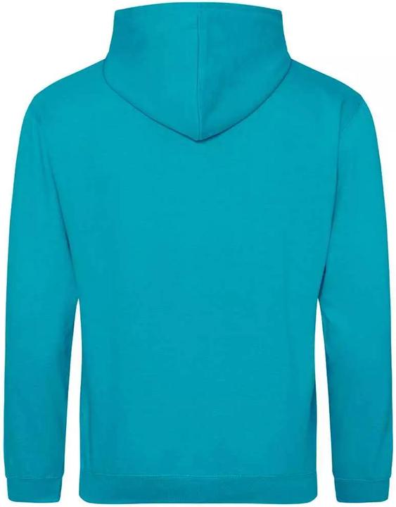 Actual product image Awdis College Hoodie (L)