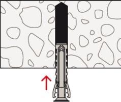 Actual product image Fischer Cheville à expansion (100 pcs.)
