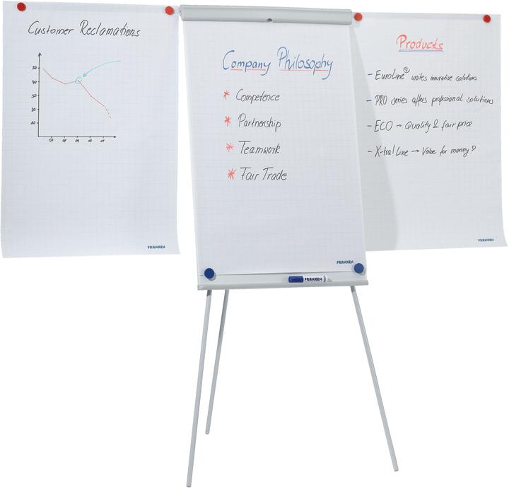 Franken Ligne Standard Plus (70 x 110 cm)