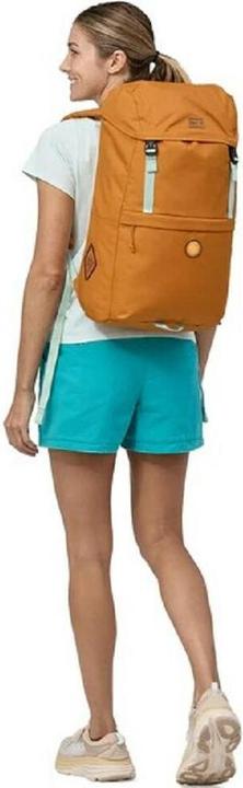 Image du produit Patagonia Fieldsmith Roll Top (30 l)
