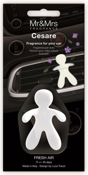 Image du produit Mr & Mrs Fragrance Cesare Air frais