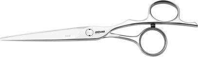Produktbild Jaguar Fame Silver Line (15.24 cm)