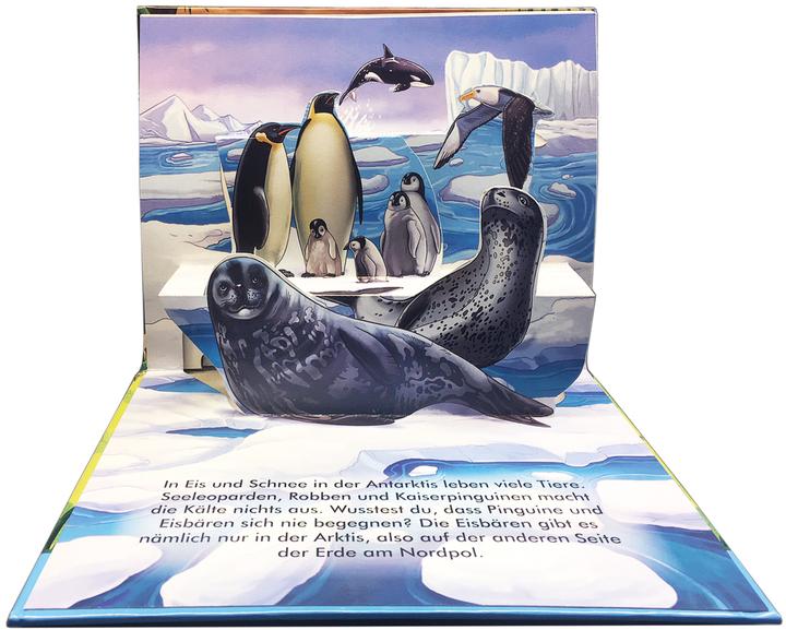 Actual product image Mein wildes Pop-up-Buch (German)