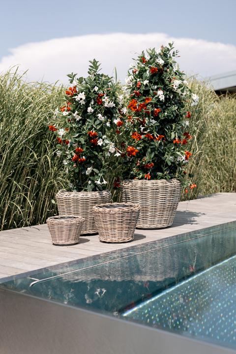 Produktbild Van der Leeden Bali (65 cm)