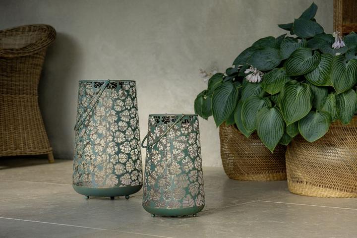 Immagine prodotto STT Antic Monstera