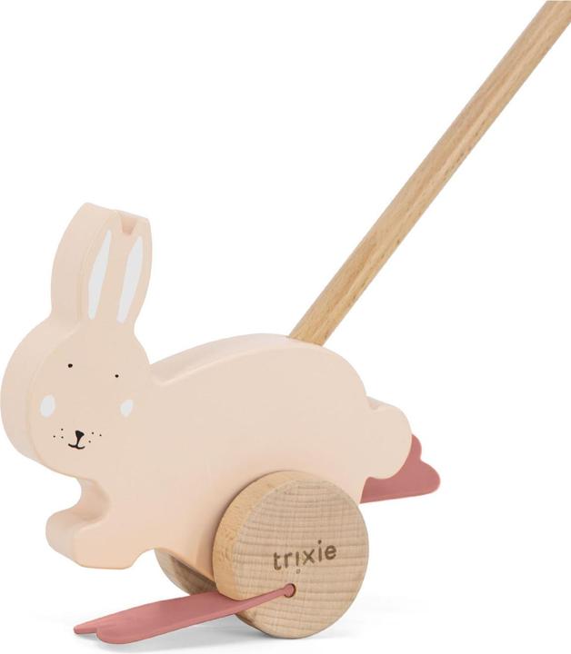 Image du produit Trixie Baby Animal en bois à pousser Lapin