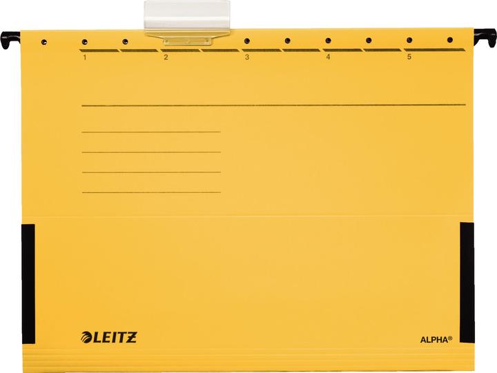 Leitz Alpha (A4, 1 x)