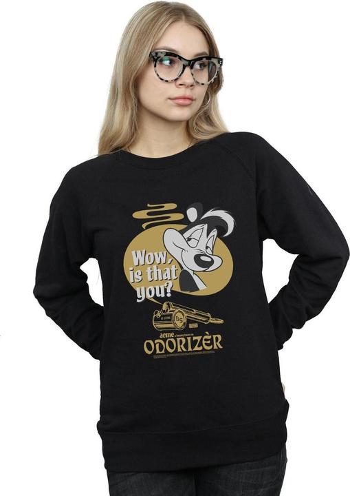 Produktbild Looney Tunes Odorizer Sweatshirt (XL)