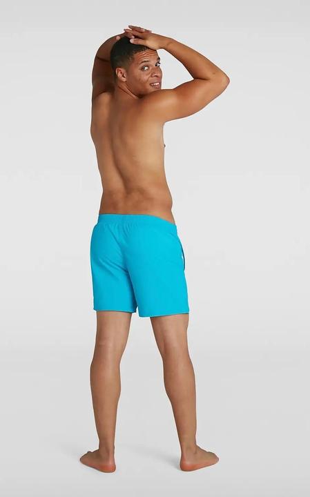 Actual product image Speedo Essential 16" Watershort (S)