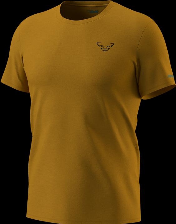 Actual product image Dynafit 24/7 Graphic T-Shirt (L)