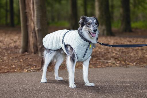 Produktbild Beeztees Bz Hund Mantel Bobby Taupe 52 (52, Hundemantel)