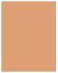 Actual product image Revlon Colorstay Combination Oily Skin (370 Toast)