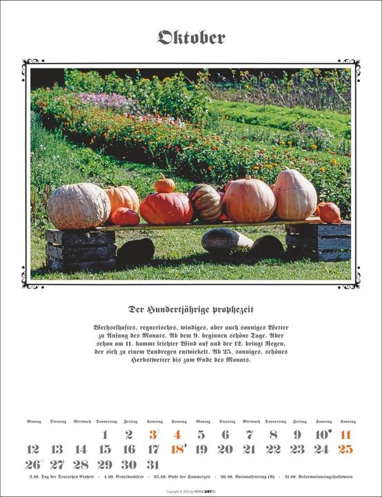 Actual product image Der Hundertjährige Kalender 2026 (30 x 39 cm, German)