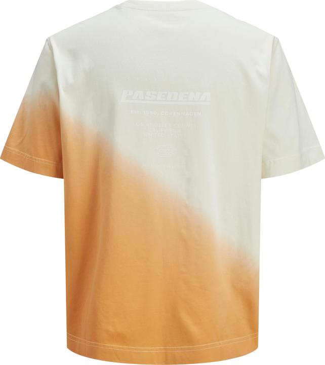 Immagine prodotto Jack & Jones T-shirt a blocchi di colore T-shirt Junior (176)
