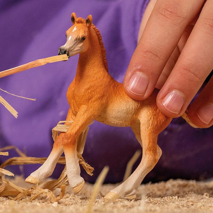 Image du produit Schleich Poulain arabe