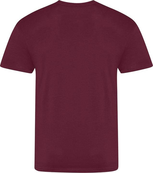 Image du produit Awdis The 100 Tshirt (S)