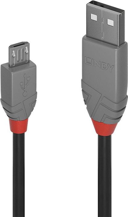 Actual product image Lindy Anthra Line (0.20 m, USB 2.0)
