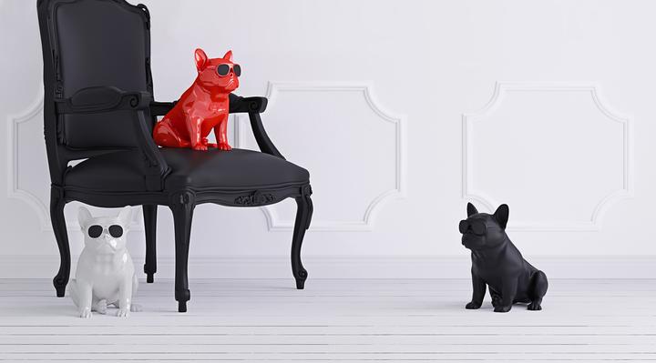 Actual product image Jarre AeroBull XS1 (10 h, Rechargeable battery operated)