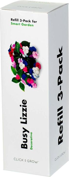 Actual product image Click and Grow Busy Lizzy (Flower seeds)