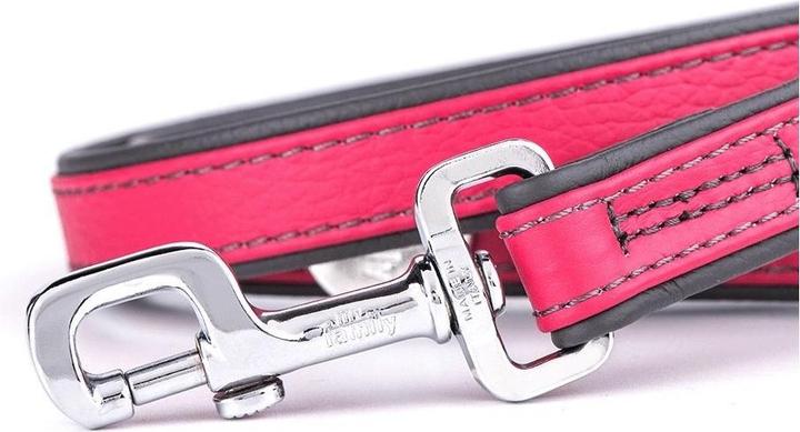 Immagine prodotto Myfamily Firenze Vitello (XL, Cane, Generale)