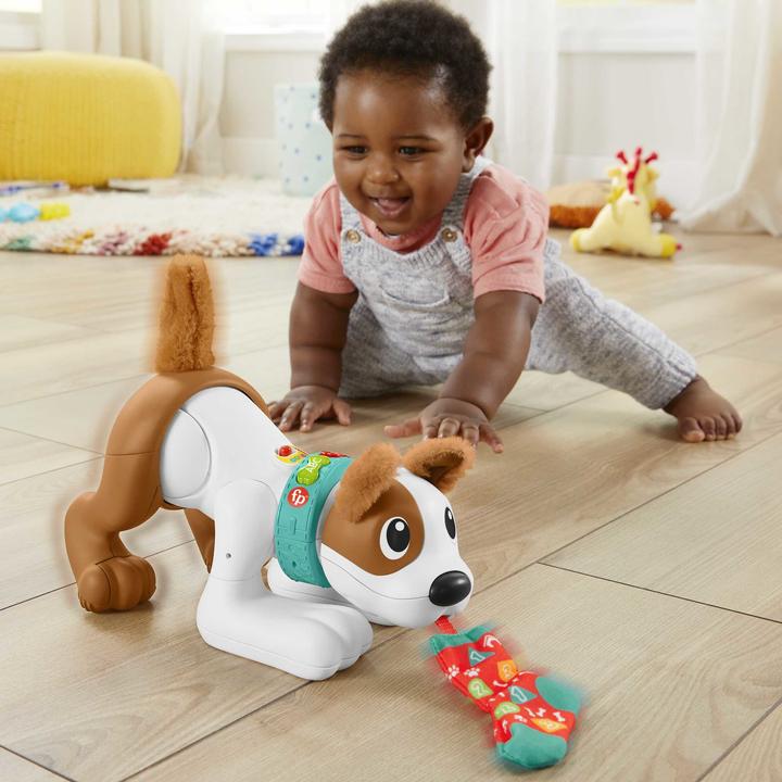 Actual product image Fisher-Price - 123 Crawl With Me Puppy-DU