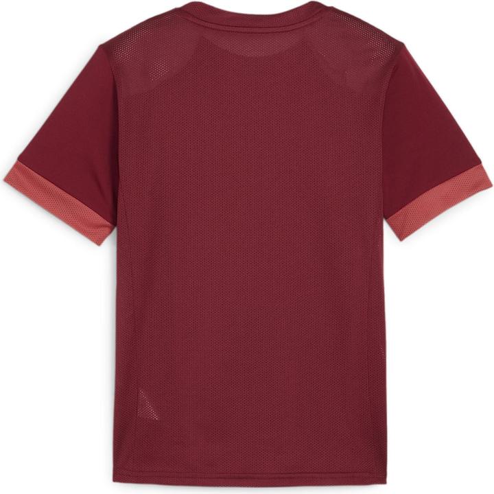 Actual product image Puma teamGOAL Matchday Jersey jr (164)