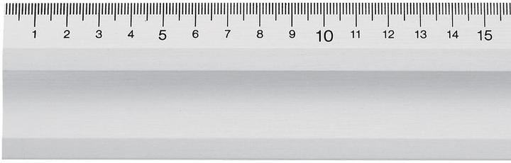 BMI Bevelled workshop straightedge (600 mm)