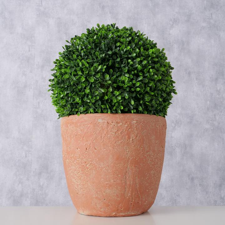 Actual product image Boltze Home Boxwood (39 cm)