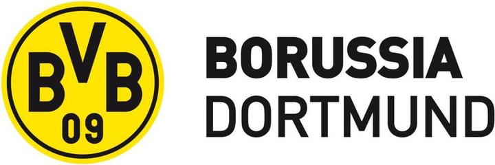 Produktbild Borussia Dortmund BVB Schriftzug mit Logo (220 x 72 cm, 140 x 46 cm, 80 x 26 cm, 120 x 39 cm, 180 x 59 cm, 60 x 20 cm, 100 x 33 cm, 40 x 13 cm, 200 x 65 cm, 240 x 78 cm, 160 x 59 cm)